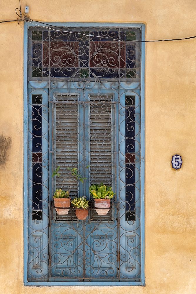 Flower pots sit in wrought iron gate in front of blue door in Old Havana; La Habana Vieja-Cuba
